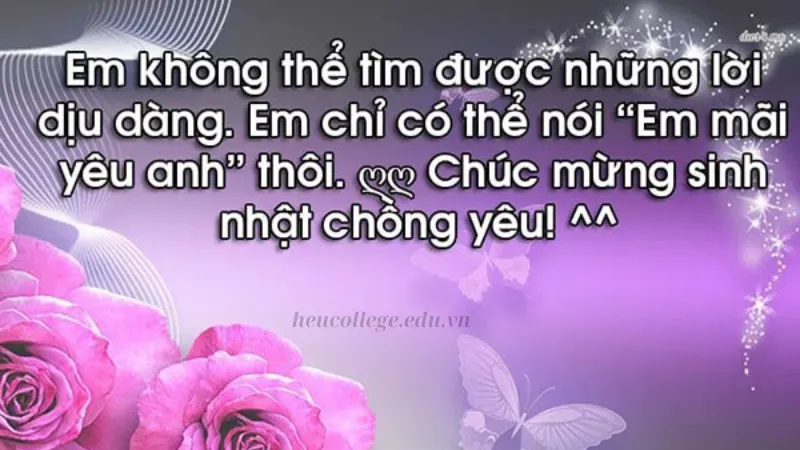 70+ stt chúc mừng sinh nhật chồng chân thành từ trái tim 9