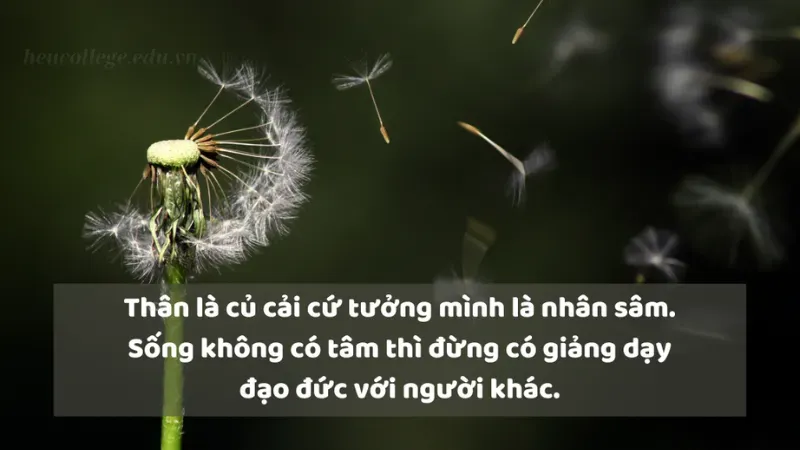 50 STT đáng yêu vui nhộn giúp bạn thêm yêu đời mỗi ngày 4