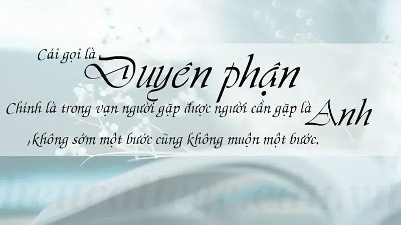 90 STT duyên phận cảm động giúp bạn thấu hiểu tình yêu 6