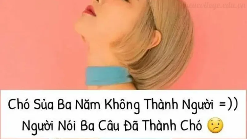 Top 50 STT khịa vui nhộn khiến bạn bè cười nghiêng ngả 6