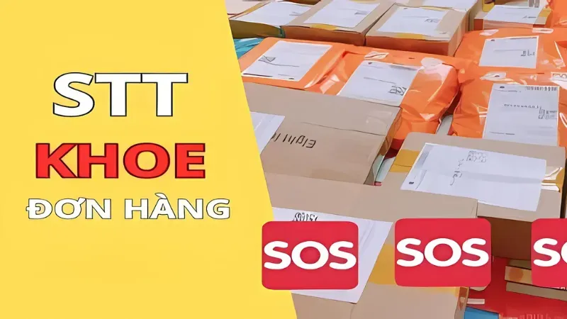 Top 10 STT khoe đơn hàng giúp tăng lượng follow nhanh chóng 6