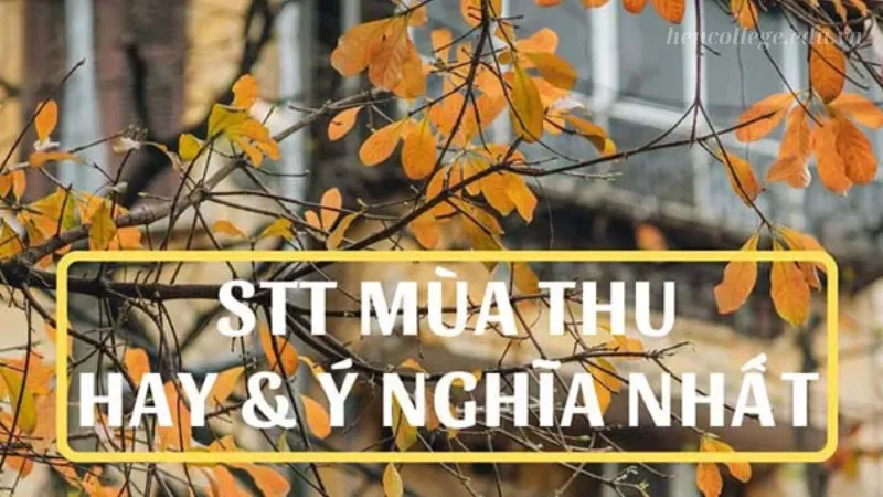 25+ STT mùa thu ngắn gọn, ý nghĩa cho ngày se lạnh 4