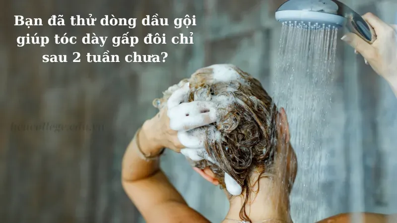 30+ STT quảng cáo dầu gội đánh trúng tâm lý khách hàng 2