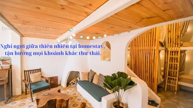 50+ stt quảng cáo homestay siêu chất cho dân kinh doanh 3