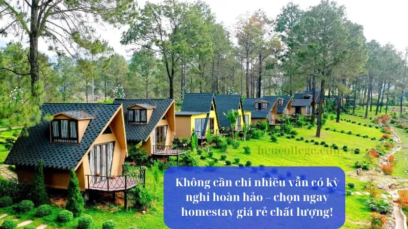 50+ stt quảng cáo homestay siêu chất cho dân kinh doanh 4