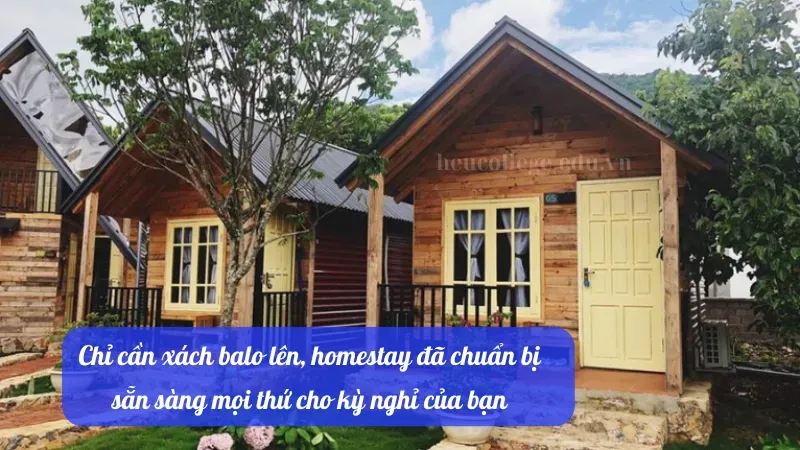 50+ stt quảng cáo homestay siêu chất cho dân kinh doanh 5