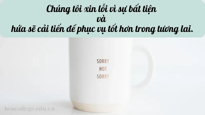 STT xin lỗi khách hàng – Cách khắc phục tình huống khó khăn 7