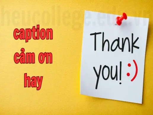 Caption cảm ơn hay - Truyền cảm hứng qua những lời cảm kích