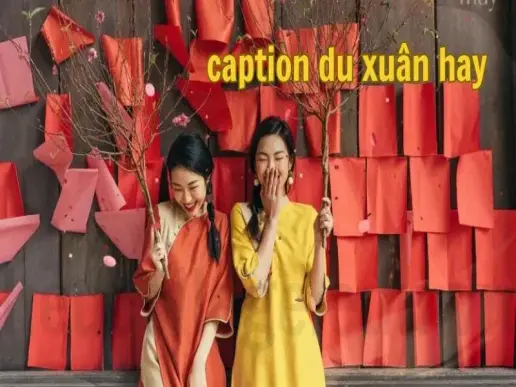 Tuyển tập những caption du xuân hay cho ngày đầu năm