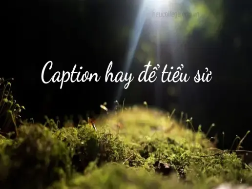 Những caption hay để tiểu sử ngắn gọn và ý nghĩa cho các nền tảng