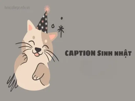 Tổng hợp những caption sinh nhật hay và đủ đầy ý nghĩa dành cho bạn