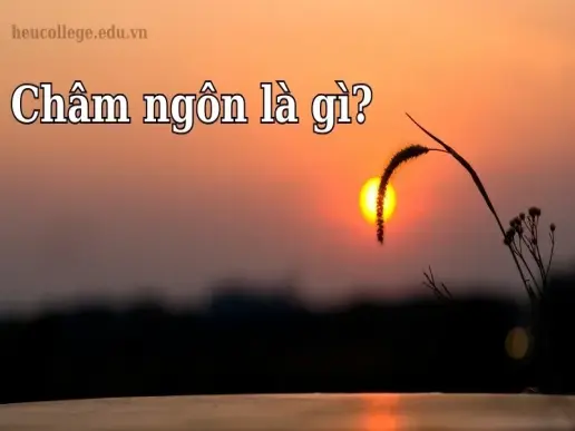 Châm ngôn là gì? Ý nghĩa sâu sắc và vai trò trong cuộc sống