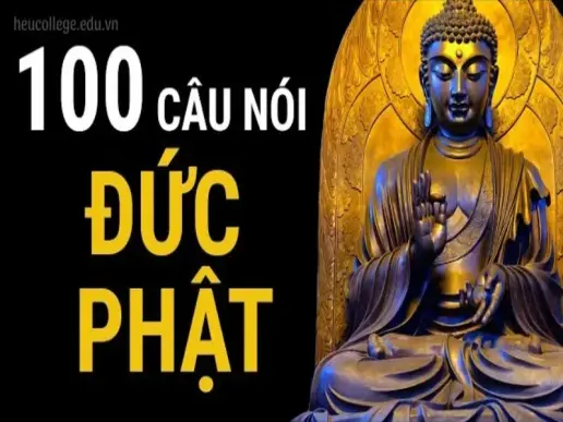 100+ Châm ngôn phật dạy giúp bạn tìm thấy hạnh phúc trong cuộc sống