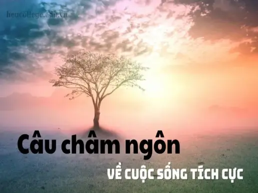 200+ Câu châm ngôn sống tích cực giúp bạn vượt qua mọi khó khăn