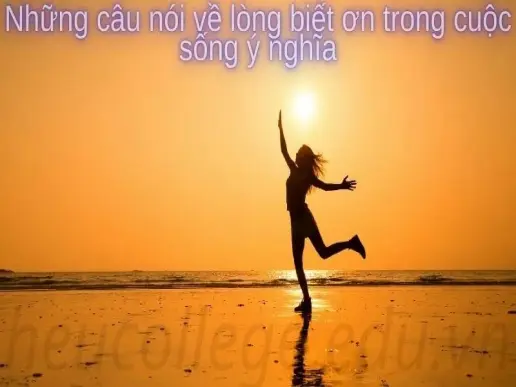 Những câu nói về lòng biết ơn trong cuộc sống ý nghĩa