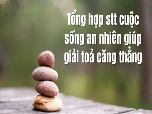 Top 10 STT an nhiên hay nhất giúp bạn giữ lòng thanh thản