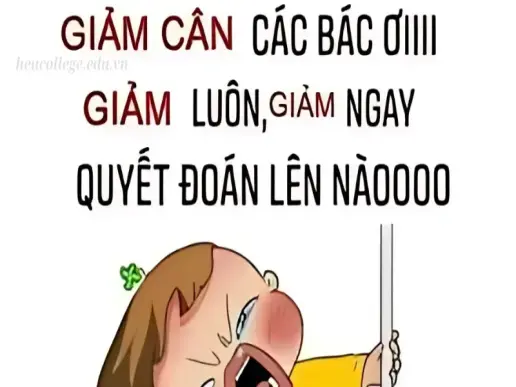 30 STT giảm cân cực chất giúp bạn có động lực hàng ngày