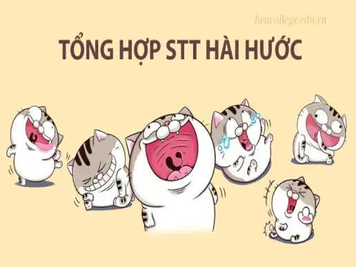 STT hài hước ngắn gọn - Cách tạo niềm vui ngày mới