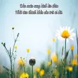 Gợi ý caption về mùa xuân dễ thương dành cho mọi người