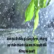 Tổng hợp caption vui về cuộc sống hài hước và ý nghĩa