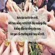 Top câu nói khi đi nhậu khiến không khí buổi nhậu bùng nổ