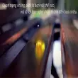 Những câu châm ngôn về sự chân thành đáng suy ngẫm