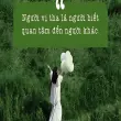 Châm ngôn về sự tha thứ giúp ta buông bỏ và trưởng thành
