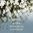 Tổng hợp những stt hạnh phúc giản đơn mỗi ngày nên đọc