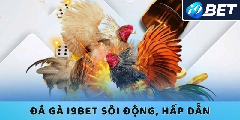Trải Nghiệm Đỉnh Cao Với Đá Gà Online i9bet
