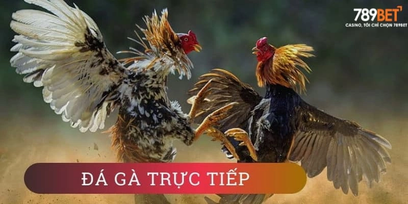 Đa dạng loại hình chơi đá gà 789bet cực hot