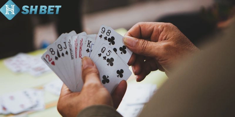 Cách chơi Mậu Binh online tại Shbet