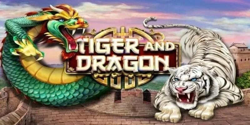 Hiểu Rõ Luật Chơi Rồng Hổ Trước Khi Vào Game