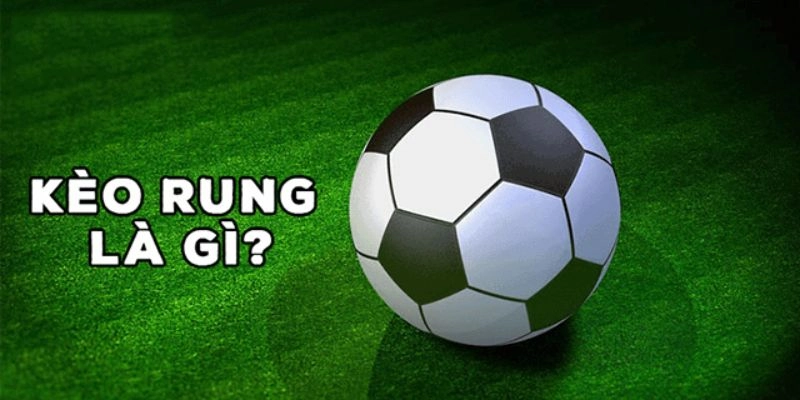 Kèo rung là gì? Tại sao dân chơi thích 8xbet?
