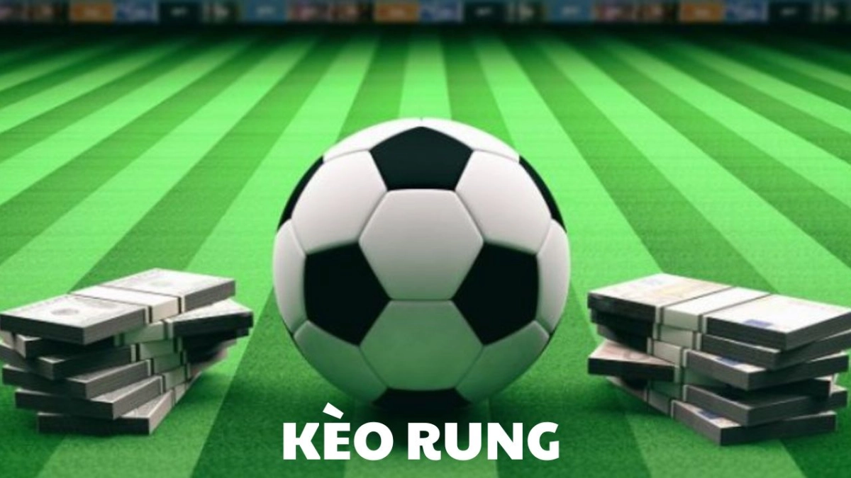 Cách đọc kèo rung 8xbet chuẩn không cần chỉnh