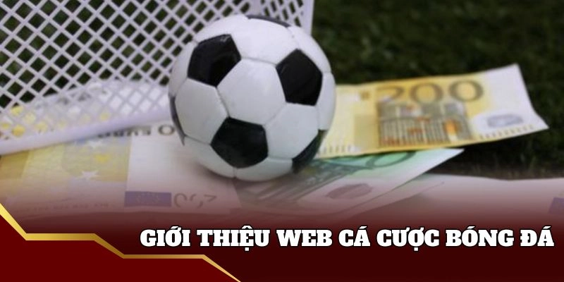 Giới thiệu web cá cược bóng đá