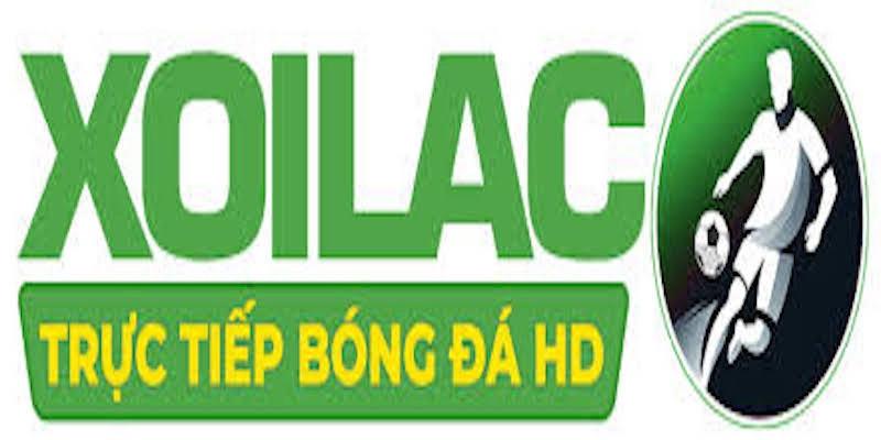 7 giải đấu được cung cấp trên XoilacTV