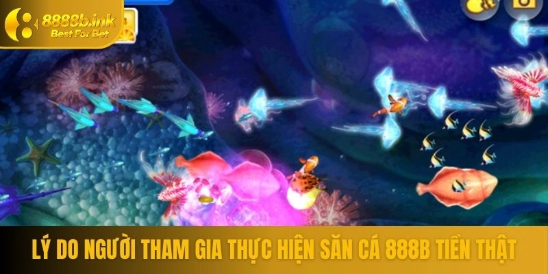 Lý do người tham gia thực hiện săn cá 888B tiền thật
