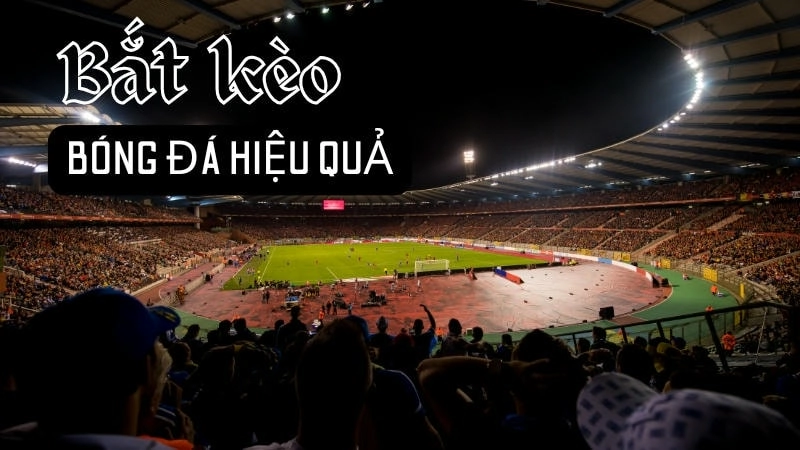  Soi kèo thể thao Sonclub, nắm bắt biến động từng trận.