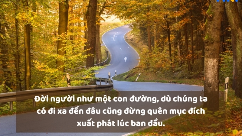 Top caption cuộc sống ý nghĩa nhất bạn nên thử ngay