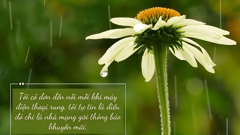 Những caption tâm trạng cô đơn gây cảm xúc mạnh