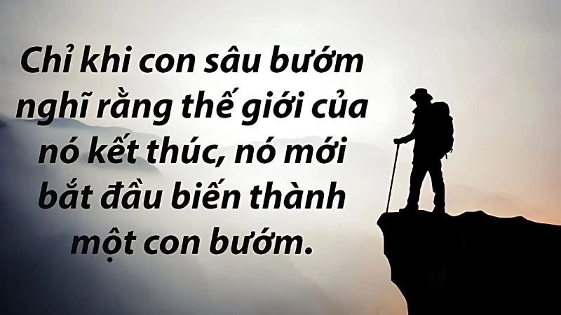 Những caption về động lực sống giúp bạn mạnh mẽ hơn mỗi ngày