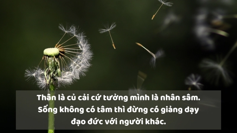 Những caption ý nghĩa về cuộc sống bạn không thể bỏ qua