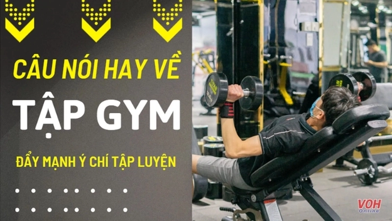 Các câu nói cho dân gym và từ khóa liên quan truyền cảm hứng tập luyện