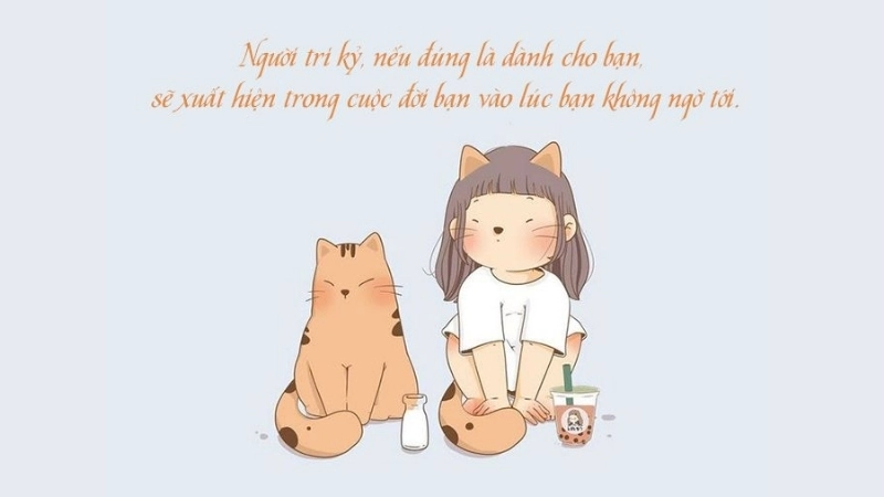 Những câu nói cho hội FA, câu nói hay về hội độc thân
