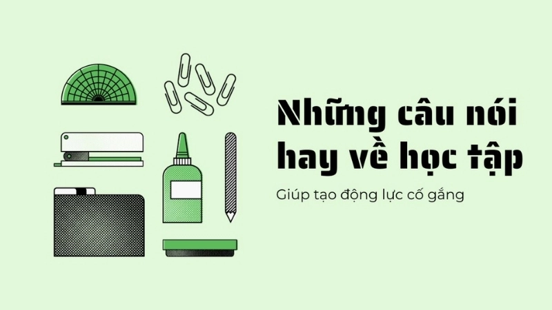 10 câu nói hay về ý nghĩa của học tập trong cuộc sống