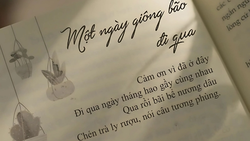 10 câu nói hay về triết lý sống giúp bạn vượt qua khó khăn