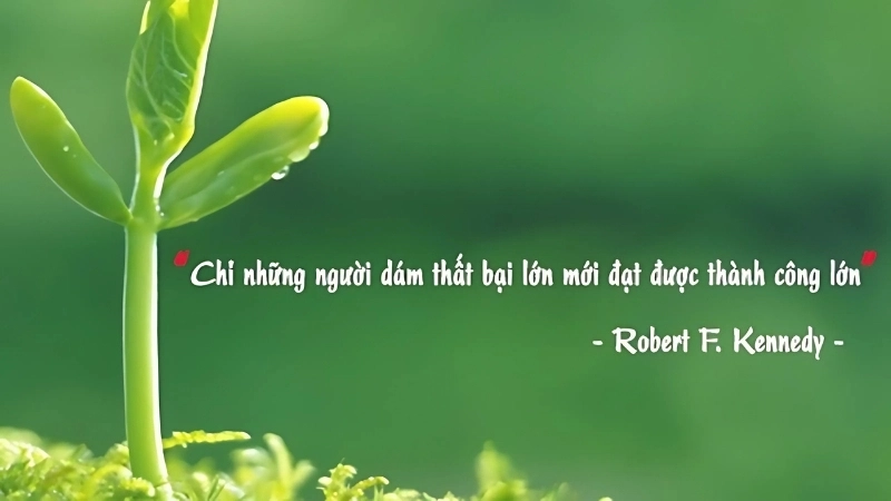 Những câu nói khi đi làm hay và ý nghĩa