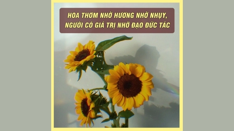 Những châm ngôn về lòng nhân hậu truyền cảm hứng sâu sắc