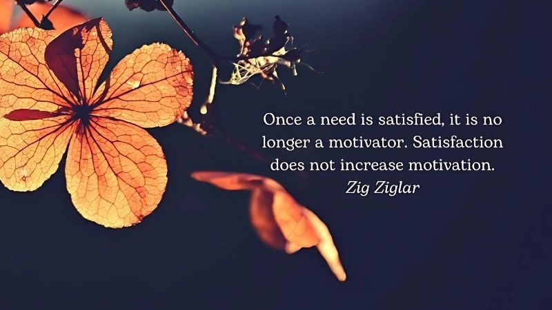 Châm ngôn về sự hài lòng giúp bạn sống an nhiên và hạnh phúc