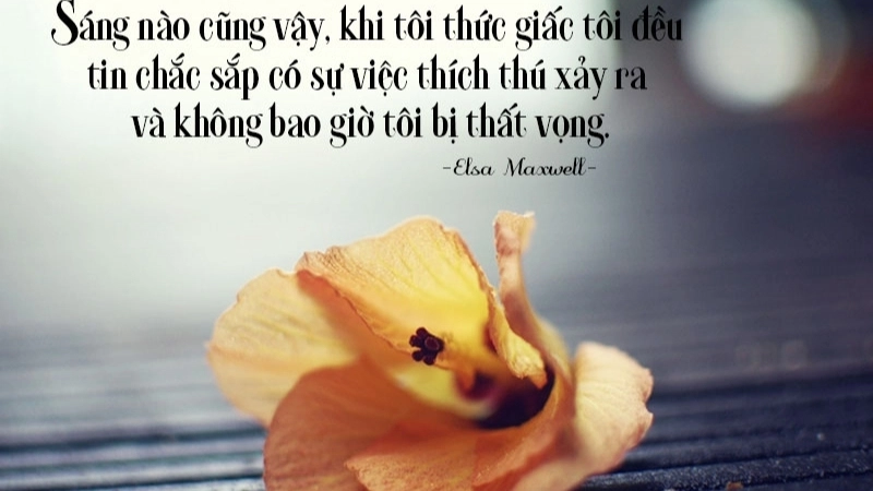 Câu châm ngôn về sự thẳng thắn giúp bạn sống chân thật